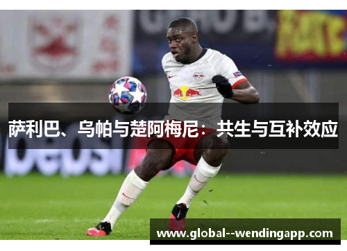 萨利巴、乌帕与楚阿梅尼：共生与互补效应
