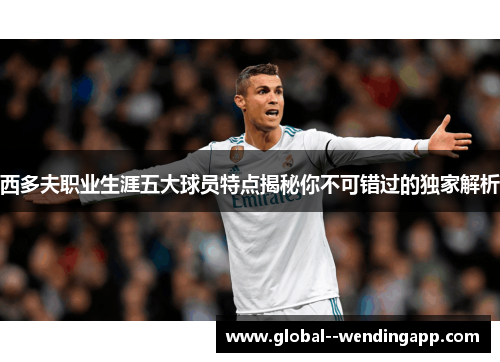 西多夫职业生涯五大球员特点揭秘你不可错过的独家解析
